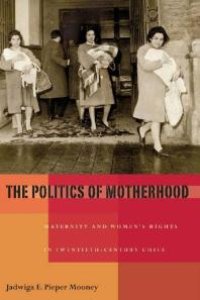 cover of the book The Politics of Motherhood : Maternity and Women's Rights in Twentieth-Century Chile