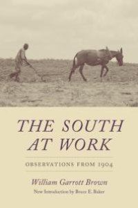 cover of the book The South at Work : Observations From 1904