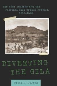 cover of the book Diverting the Gila : The Pima Indians and the Florence-Casa Grande Project, 1916-1928