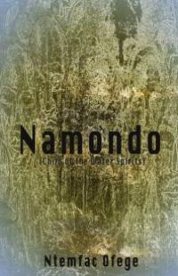 cover of the book Namondo : Child of the Water Spirits