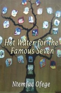 cover of the book Hot Water for the Famous Seven