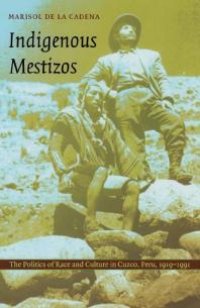 cover of the book Indigenous Mestizos : The Politics of Race and Culture in Cuzco, Peru, 1919-1991