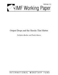 cover of the book Output Drops and the Shocks That Matter