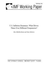 cover of the book U.S. Inflation Dynamics : What Drives Them Over Different Frequencies?