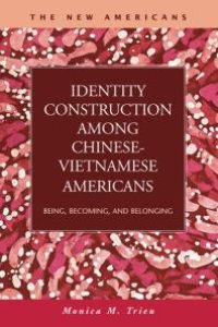 cover of the book Identity Construction among Chinese-Vietnamese Americans : Being, Becoming, and Belonging