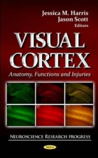 cover of the book Visual Cortex: Anatomy, Functions and Injuries : Anatomy, Functions, and Injuries