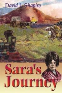 cover of the book Sara's Journey