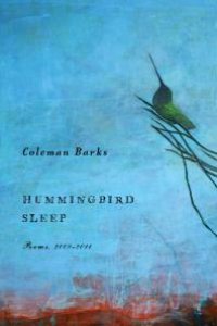 cover of the book Hummingbird Sleep : Poems, 2009-2011