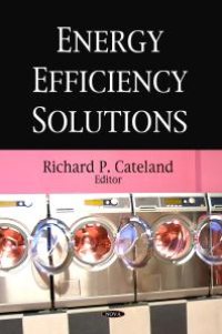 cover of the book Energy Efficiency Solutions