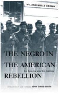 cover of the book Negro in the American Rebellion : His Heroism and His Fidelity