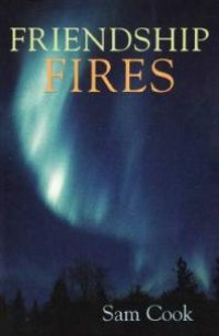 cover of the book Friendship Fires