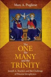 cover of the book The One, the Many, and the Trinity : Joseph A. Bracken and the Challenge of Process Metaphysics