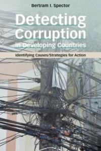 cover of the book Detecting Corruption in Developing Countries : Identifying Causes/Strategies for Action