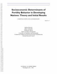 cover of the book Socioeconomic Determinants of Fertility Behavior in Developing Nations : Theory and Initial Results