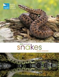 cover of the book Snakes