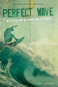 cover of the book Perfect Wave : Reflecting God by Protecting the Earth