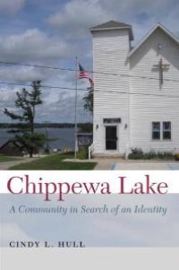 cover of the book Chippewa Lake : A Community in Search of an Identity