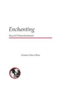 cover of the book Enchanting : Beyond Disenchantment