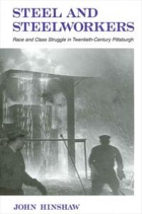 cover of the book Steel and Steelworkers : Race and Class Struggle in Twentieth-Century Pittsburgh