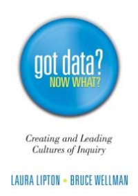 cover of the book Got Data? Now What? : Creating and Leading Cultures of Inquiry