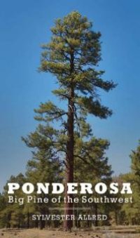 cover of the book Ponderosa : Big Pine of the Southwest