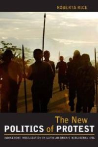 cover of the book The New Politics of Protest : Indigenous Mobilization in Latin America's Neoliberal Era