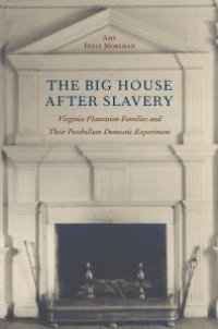 cover of the book The Big House after Slavery : Virginia Plantation Families and Their Postbellum Domestic Experiment