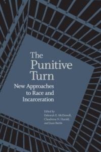 cover of the book The Punitive Turn : New Approaches to Race and Incarceration