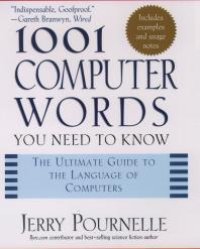 cover of the book 1001 Computer Words You Need to Know