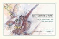 cover of the book The Peregrine Returns: The Art and Architecture of an Urban Raptor Recovery