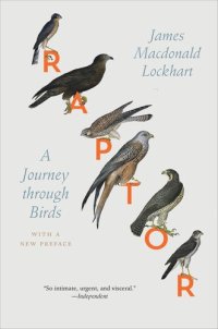 cover of the book Raptor: A Journey through Birds