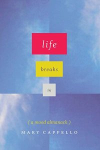 cover of the book Life Breaks In: A Mood Almanack