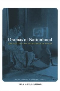 cover of the book Dramas of Nationhood: The Politics of Television in Egypt