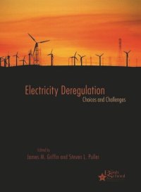 cover of the book Electricity Deregulation: Choices and Challenges