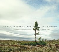 cover of the book The Oldest Living Things in the World