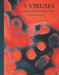 cover of the book Viruses: A Natural History