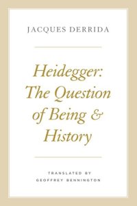 cover of the book Heidegger: The Question of Being and History