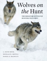 cover of the book Wolves on the Hunt: The Behavior of Wolves Hunting Wild Prey