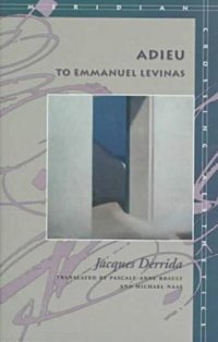 cover of the book Adieu to Emmanuel Levinas 