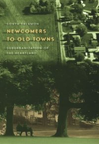 cover of the book Newcomers to Old Towns: Suburbanization of the Heartland