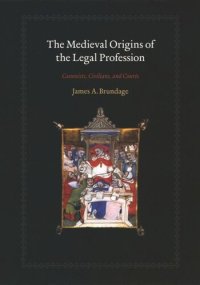 cover of the book The Medieval Origins of the Legal Profession: Canonists, Civilians, and Courts