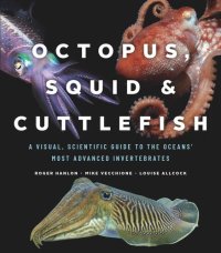 cover of the book Octopus, Squid, and Cuttlefish: A Visual, Scientific Guide to the Oceans’ Most Advanced Invertebrates