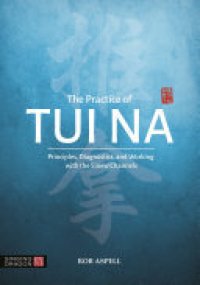 cover of the book The Practice of Tui Na: Principles, Diagnostics and Working with the Sinew Channels