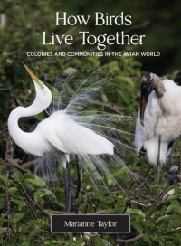 cover of the book How Birds Live Together: Colonies and Communities in the Avian World