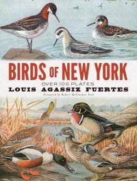 cover of the book Birds of New York: Over 100 Plates