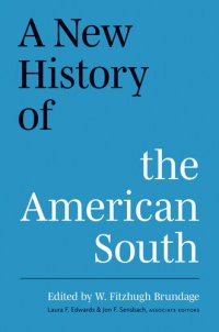 cover of the book A New History of the American South (A Ferris and Ferris Book)