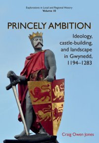 cover of the book Princely Ambition: Ideology, castle-building and landscape in Gwynedd, 1194-1283 (Explorations in Local and Regional Histo Book 10)