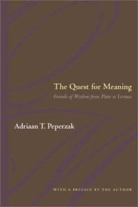 cover of the book The Quest For Meaning: Friends of Wisdom from Plato to Levinas