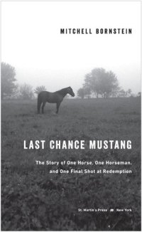 cover of the book Last Chance Mustang: The Story of One Horse, One Horseman, and One Final Shot at Redemption