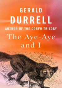 cover of the book The Aye-Aye and I